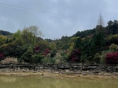 -铁山坪森林公园