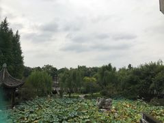 -乌镇望津里精品酒店