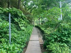 -白沙古井