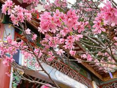 -宝墨园景区