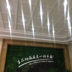 -玛丽亚妇产医院
