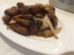 -渔娘渔家丹东海鲜(东直门店)