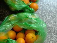 -小六农家乐(崇明西沙湿地店)