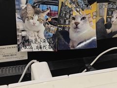 -谜盒子奇幻密室(南屏店)