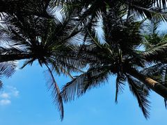 -霞山观海长廊