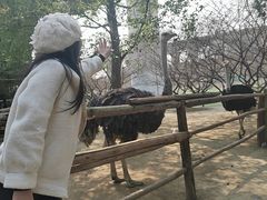 -秀丽东方