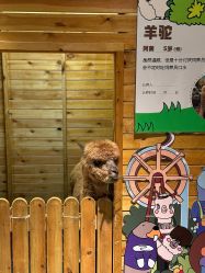 -造物庄园 萌宠纪(苏州湾歌林公园店)