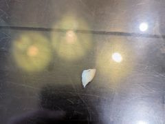 -九炉分座(个园店)