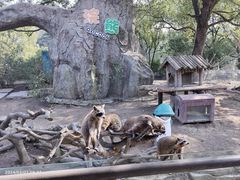 -宁波野生动物园