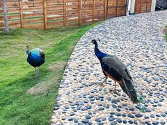 -华谊兄弟（长沙）电影小镇