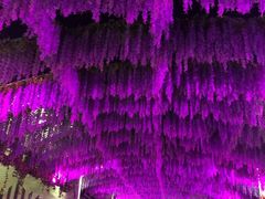 -婺源梦里老家大型山水实景演出