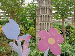 -南宫五洲植物乐园