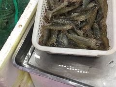 -北京清河镇农副产品交易市场中心