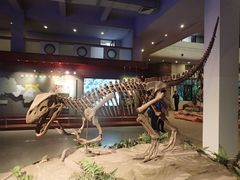 -自贡恐龙博物馆