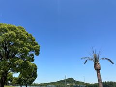 -上海月湖雕塑公园