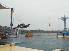 -秦皇岛乐岛海洋王国