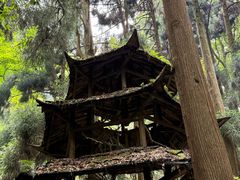 -青城山