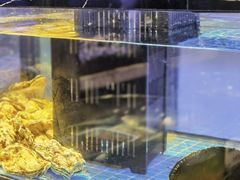 -珍宝轩海鲜火锅(碧湖大厦店)