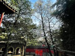 -潭柘寺景区