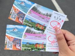 -棒棰岛宾馆景区
