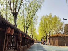 -青龙湖公园