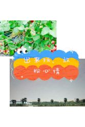 -麦粒鸟亲子游