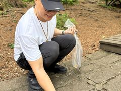-茅兰沟国家森林公园
