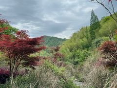 -宁海安岚·南溪阁全日餐厅