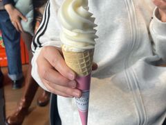 -萨朗刀克冰淇淋雪花凉(植物园店)