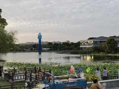 -海天湖公园