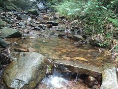 -梧桐山风景名胜区