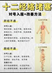 点击看大图 -玛莲朵·海菲秀冰珀科