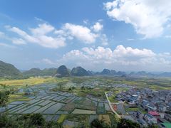 -会仙湿地