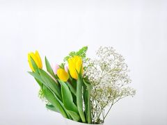 -周肥肠(江油总店)