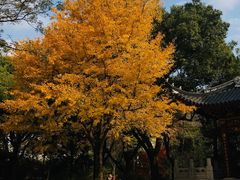 -汇龙潭