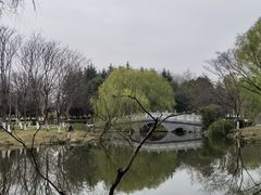 -古琴台