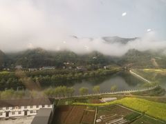 -后柳水乡