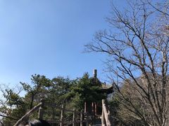-王顺山国家森林公园