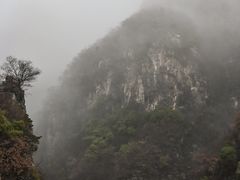 -神农山景区