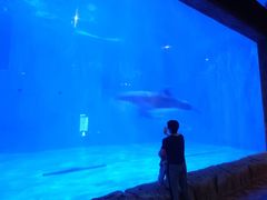 -华夏文旅海洋公园