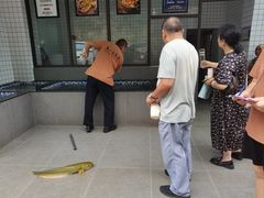 -江龙饭店·乌江豆腐鱼(乌江老桥头店)