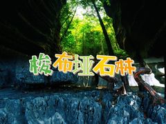 -梭布垭石林景区