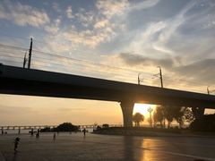 -宝安西湾红树林湿地公园