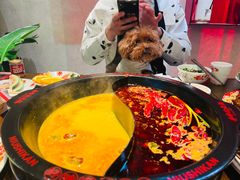 -牛市坎火锅(建设路店)