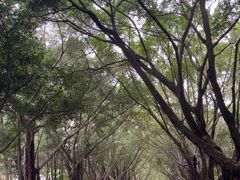 -南宁南湖公园