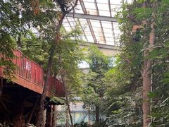 -呀路古热带植物园