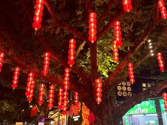 -荔湾湖公园