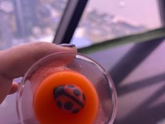 -东方明珠·空中旋转餐厅
