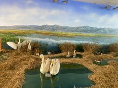 -延庆地质公园博物馆