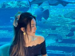 -亚特兰蒂斯•OSSIANO奥西亚诺海底餐厅